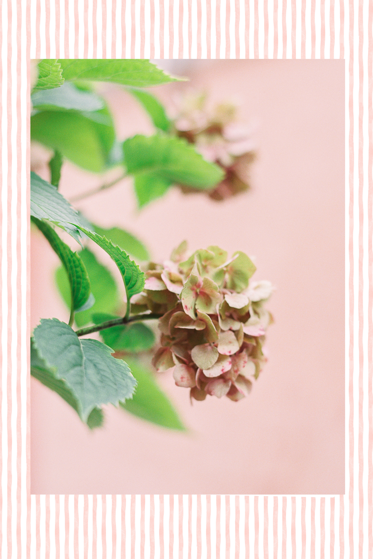 Note Cards Collection